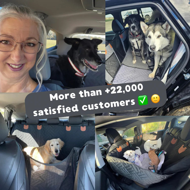 Dog Car Seat Cover + 2 Free Gifts