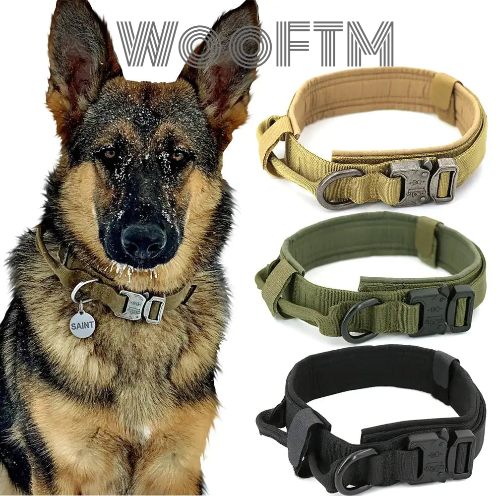 Premium Dog Collar