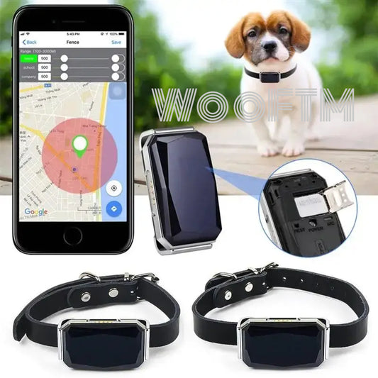 Smart Collar Waterproof Pet Locator